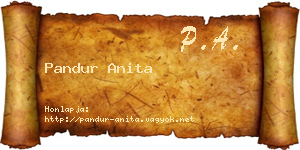 Pandur Anita névjegykártya
